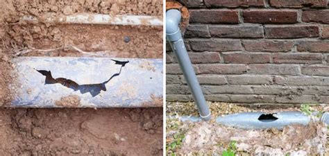 How to Tell if Sewer Pipe is Leaking in Yard